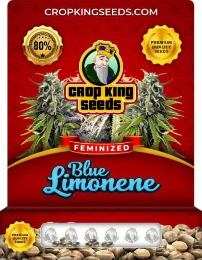 blue-limonene-image
