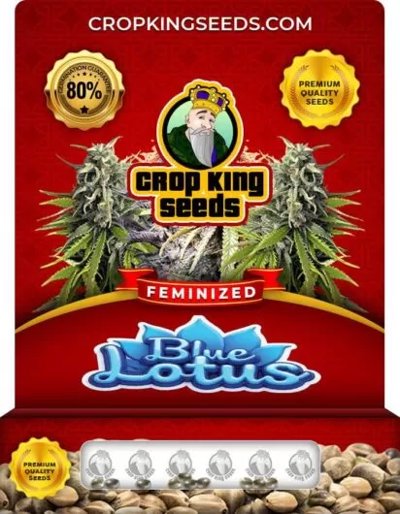 Blue Lotus
