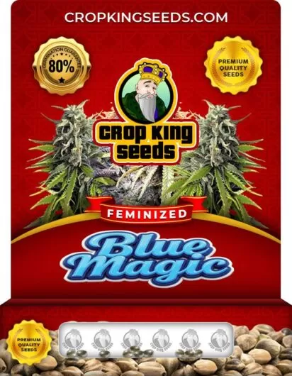blue-magic-image