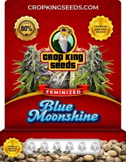 blue-moonshine-image