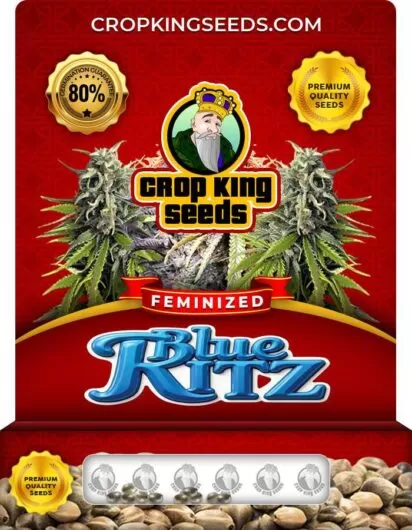 blue-ritz-image