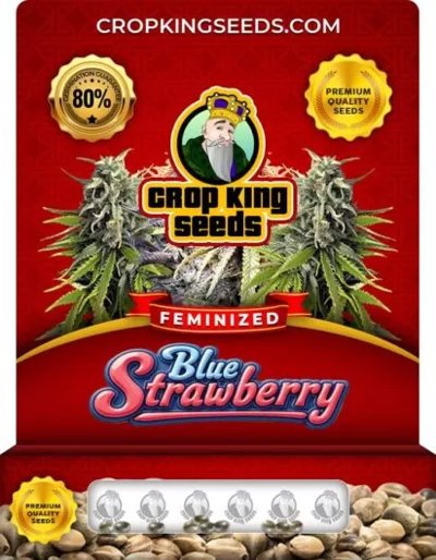 Blue Strawberry