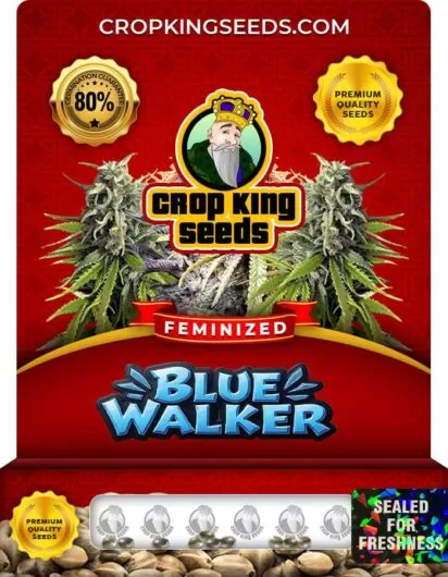 blue-walker-image
