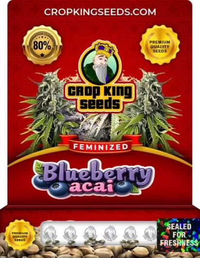 blueberry-acai-image