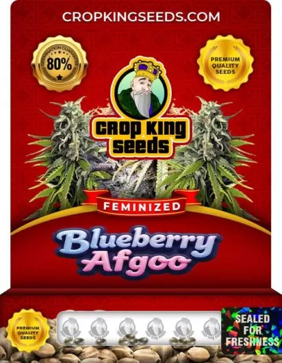 blueberry-afgoo-image