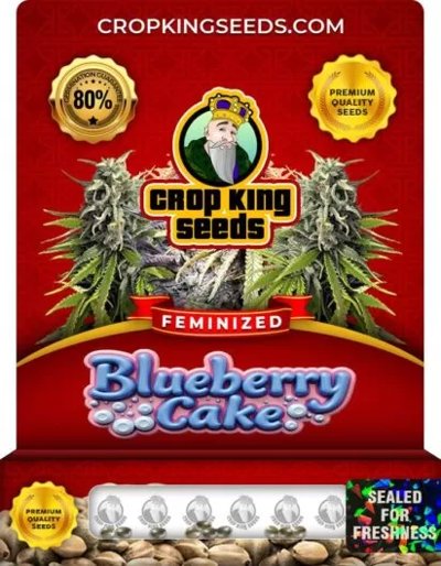 Blueberry Cake