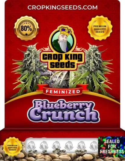 blueberry-crunch-image
