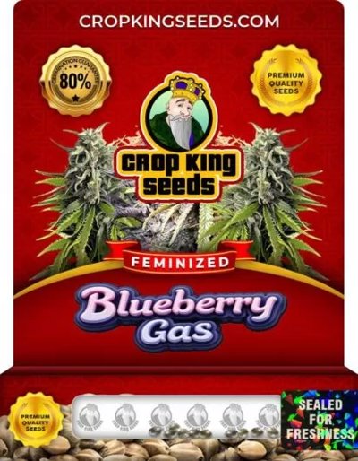 Blueberry Gas