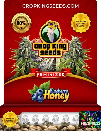 blueberry-honey-image