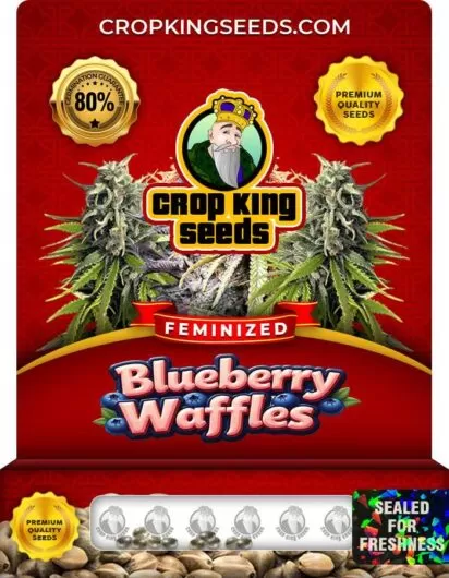 blueberry-waffles-image