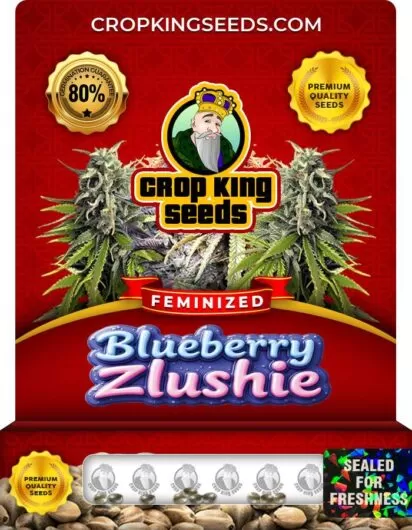blueberry-zlushie-image