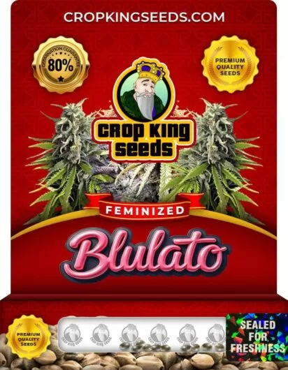 blulato-image
