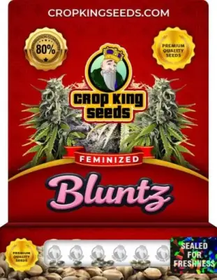 Bluntz