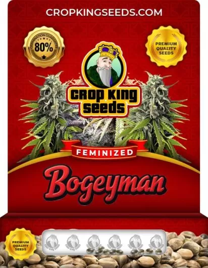bogeyman-image