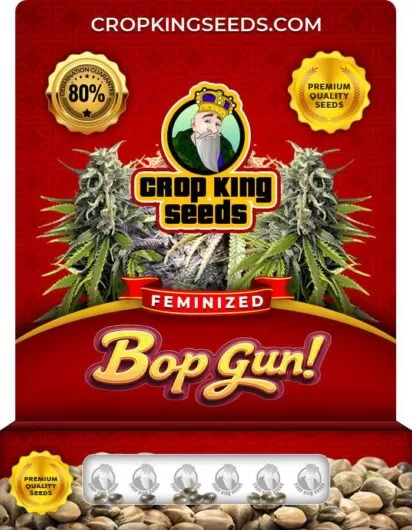 bop-gun-image