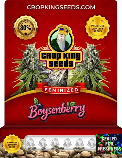 boysenberry-image