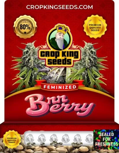 brr-berry-image