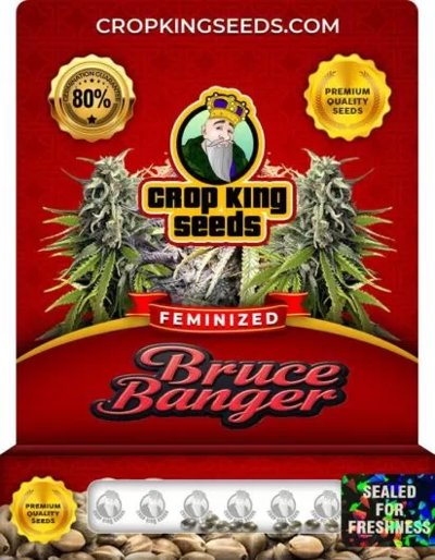 Bruce Banger