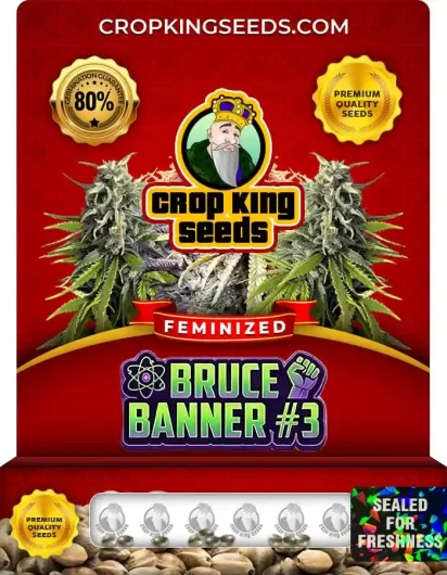 bruce-banner-3-image