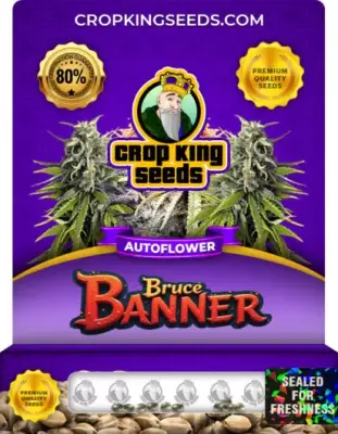 Bruce Banner Autoflowering