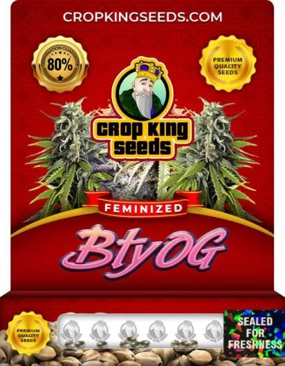 bty-og-image