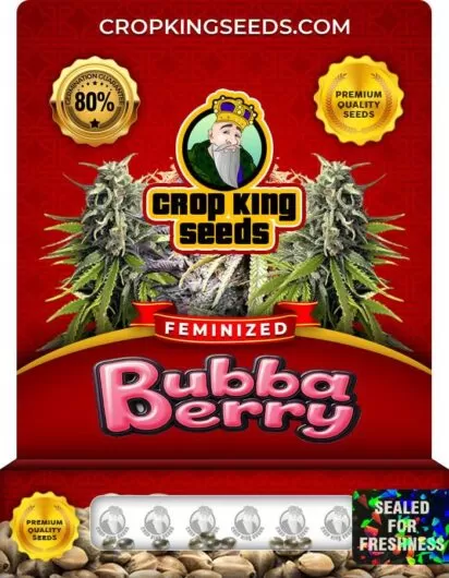 bubba-berry-image