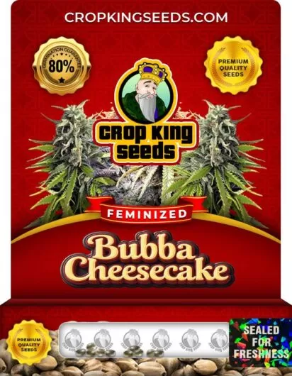 bubba-cheesecake-image