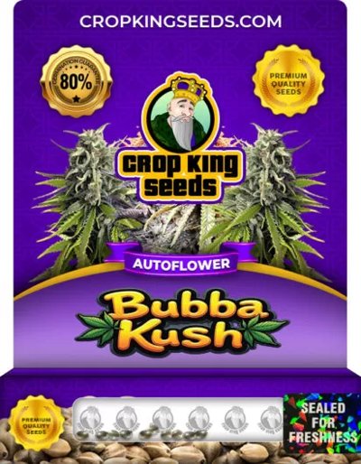 Bubba Kush Autoflowering
