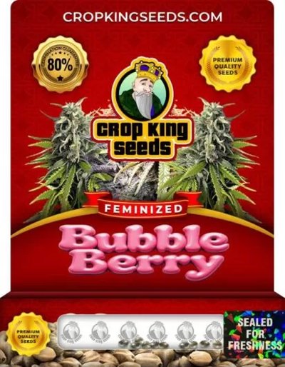 Bubble Berry