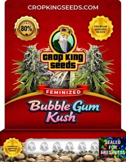 bubble-gum-kush-image