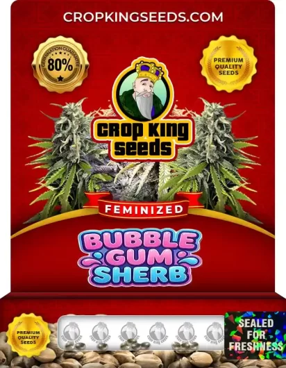 bubble-gum-sherb-image