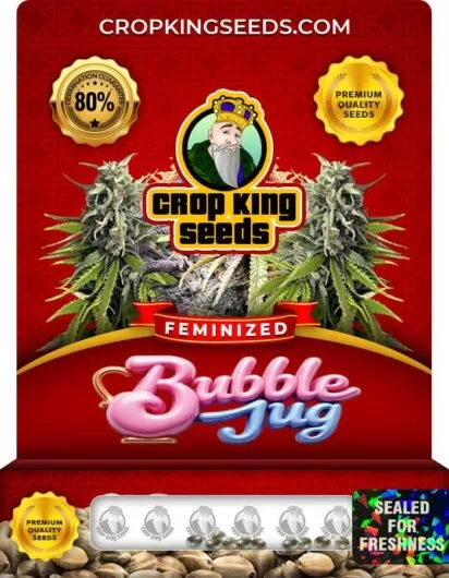 bubble-jug-image