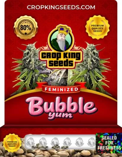 bubble-yum-image