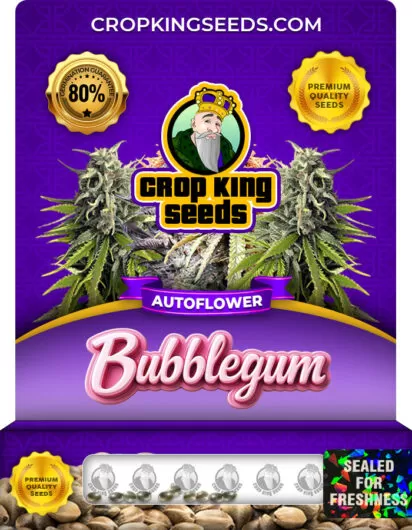 bubblegum-autoflowering-image