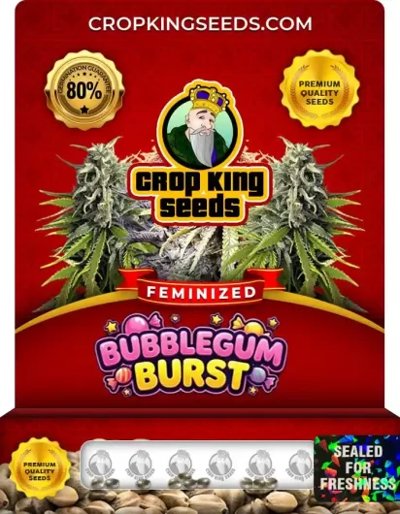 Bubblegum Burst