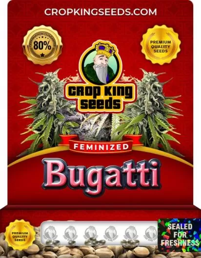 bugatti-image