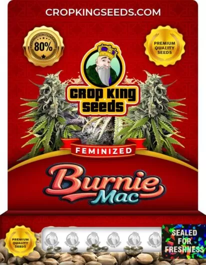 burnie-mac-image