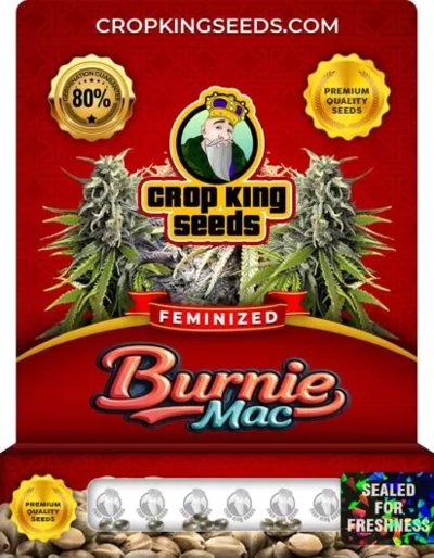 Burnie Mac