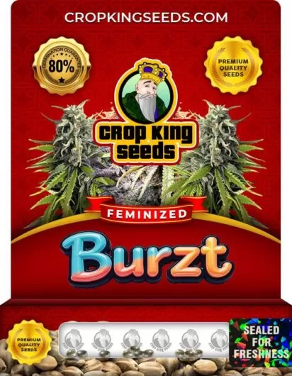 burzt-image
