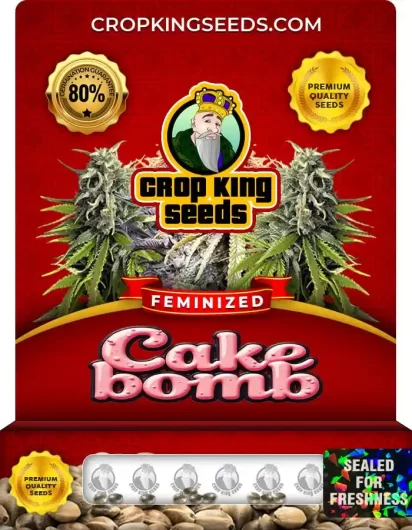 cake-bomb-image