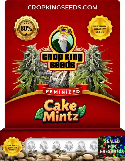 cake-mintz-image