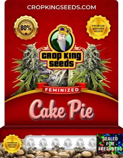 Cake Pie