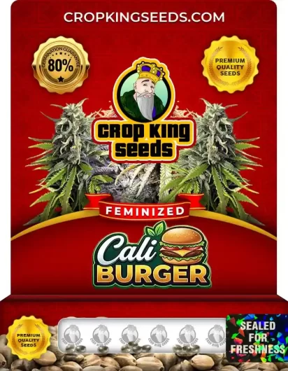 cali-burger-image