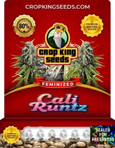 Cali Runtz