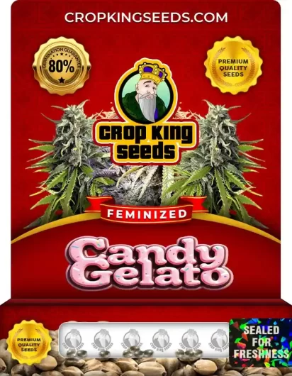 candy-gelato-image