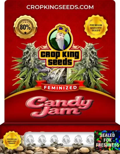candy-jam-image
