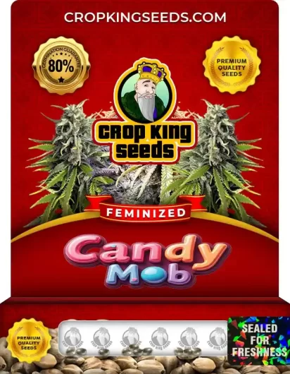 candy-mob-image