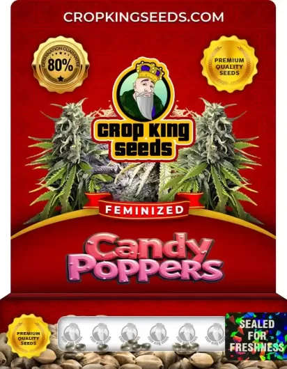 candy-poppers-image