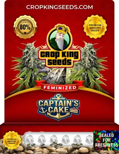 captain’s-cake-image
