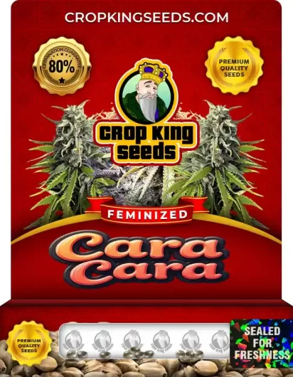 cara-cara-image